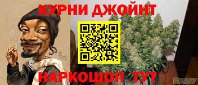 гашик Абакан